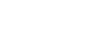FFD-Logo_wei├ƒ